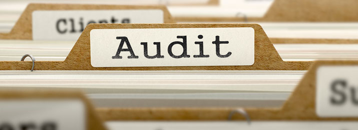 auditing-services