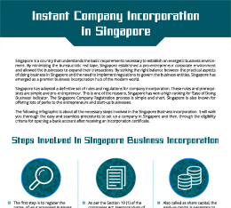 Instant Company Incorporation  in Singapore